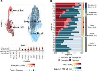 Acute Surge of Atypical Memory and Plasma B-Cell Subsets Driven by an Extrafollicular Response in Severe COVID-19